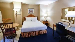 Panoromic Cozy Cabin